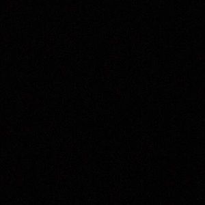 Meet your Posher, Peyton